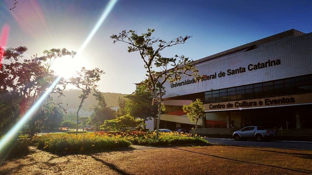 Imagem da notícia 1