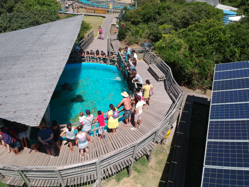 Imagem da notícia 1