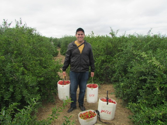 Imagem da notícia 1