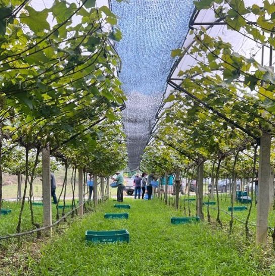 Imagem da notícia 1