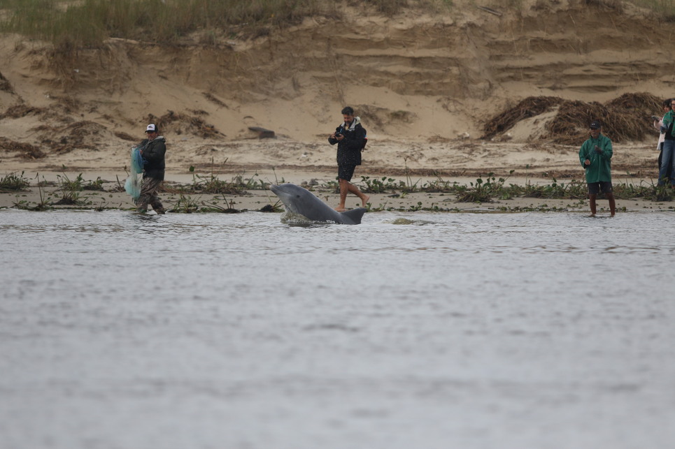 Imagem da notícia 1