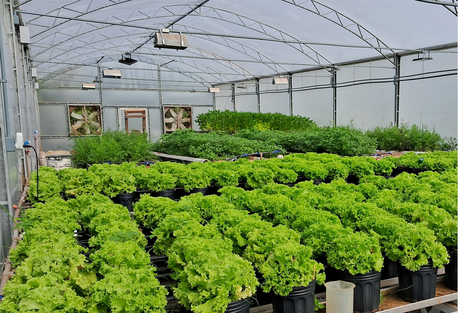 Imagem da notícia 1