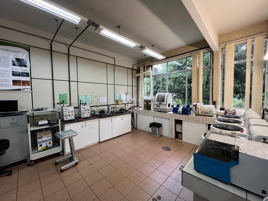 Imagem da notícia 1