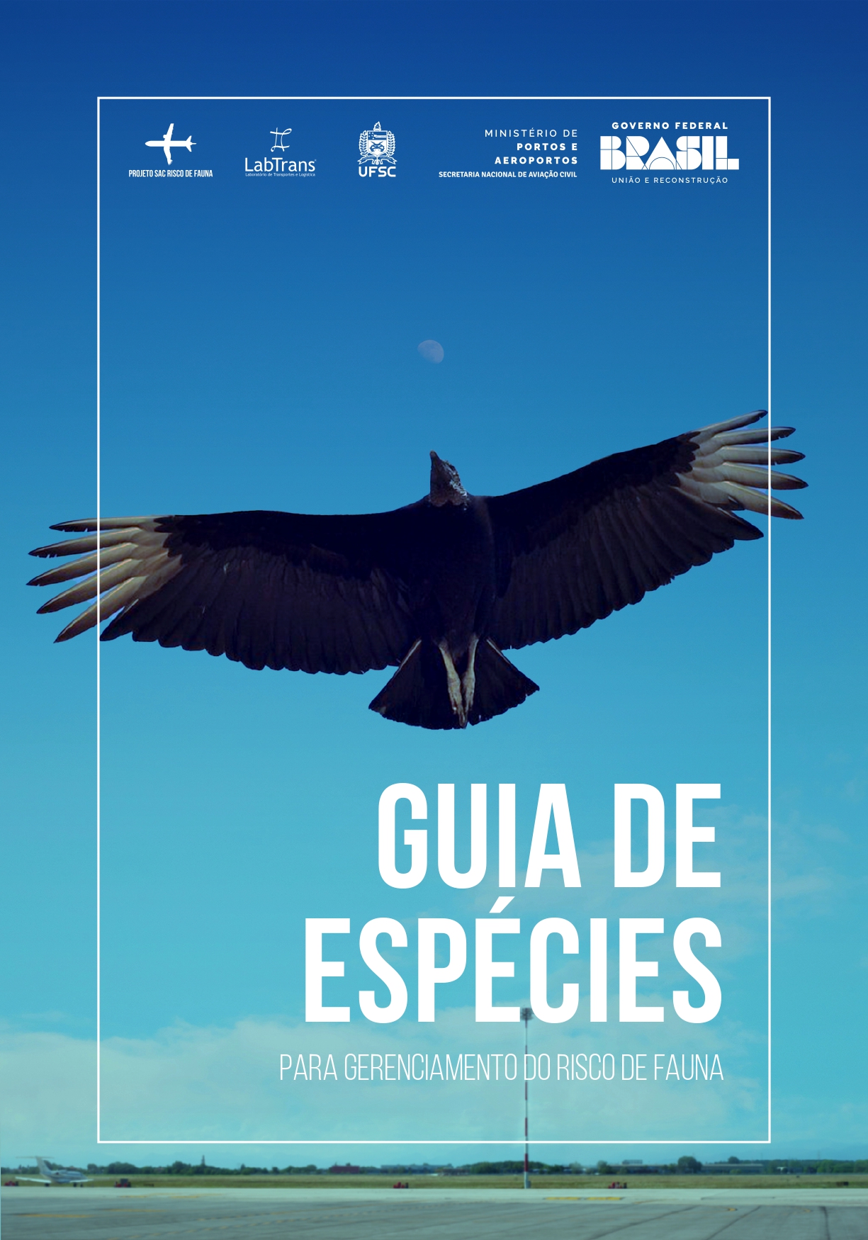 Imagem da notícia 1