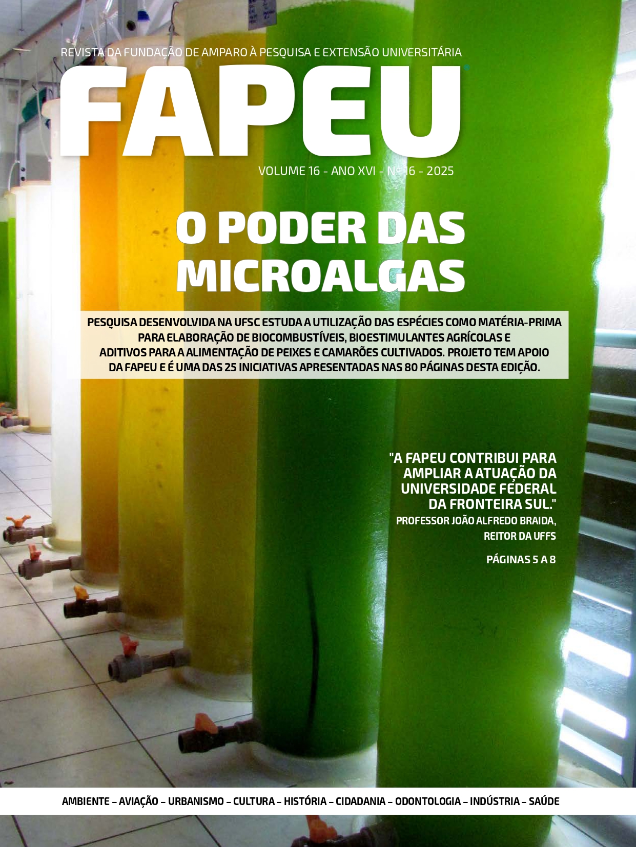 Imagem da notícia 1