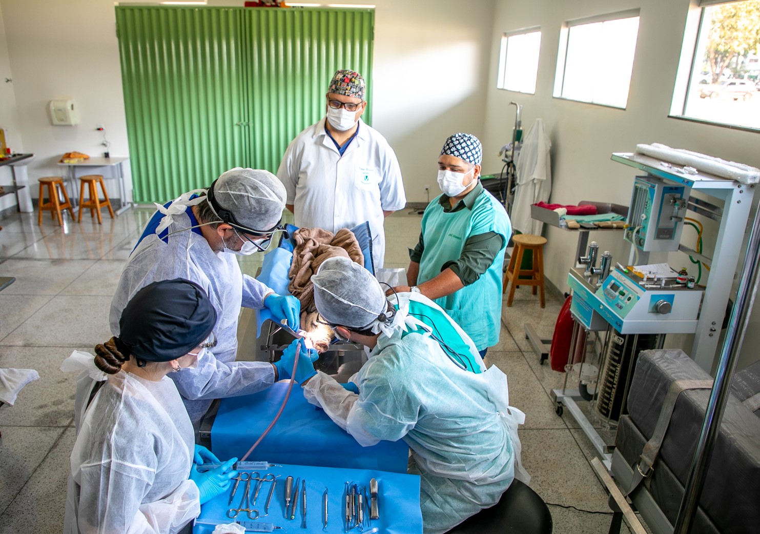 Imagem da notícia UFSC desenvolve pesquisa inédita sobre regeneração óssea