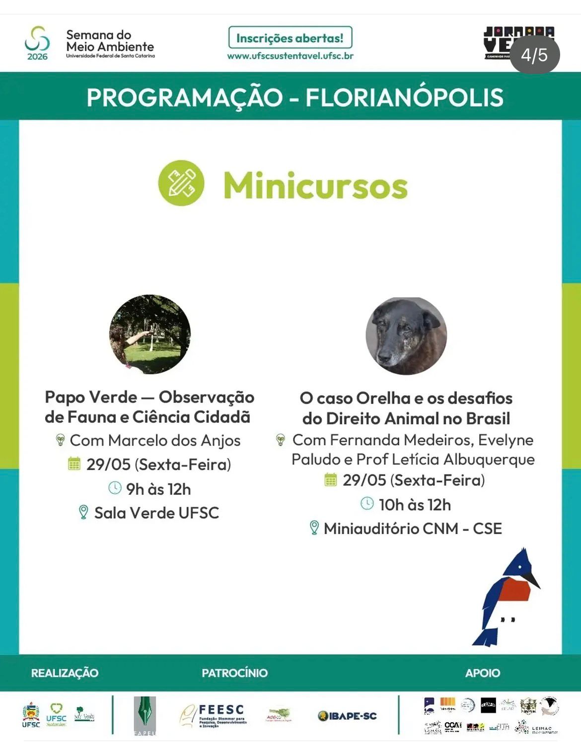 Imagem 4